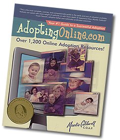 adopting online book cover