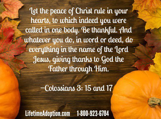 Giving Thanks | Lifetime Adoption