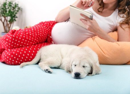 Pregnant woman writes in a journal as she lounges on her bed with her dog