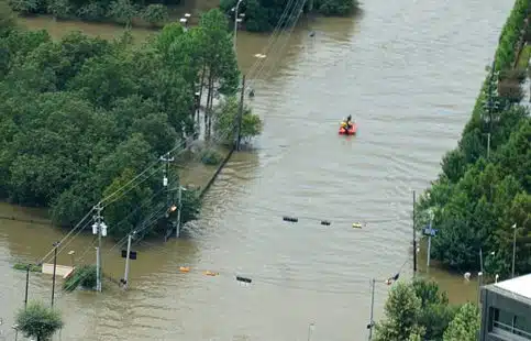Hurricane Harvey aftermath left orphaned children