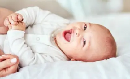 Learn about Lifetime's adoption opportunities