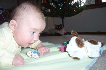 baby lies on stomach on blanket looking at stuffed toy while cat in distance looks on