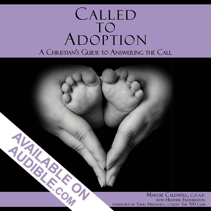called_to_adoption_cover_audible_banner_6x6.jpg