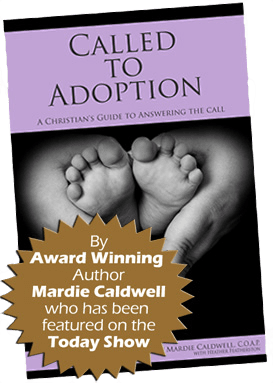 Called to Adoption Book