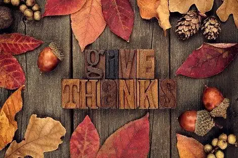 Flay lay design of stamp letters that read "give thanks" next to leaves, pinecones, and acorns