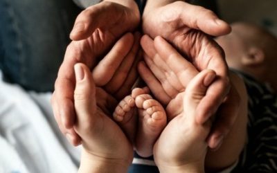 Deciding if a Sudden Adoption Opportunity is Right for You