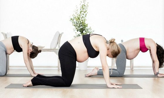 Group of pregnant woman in yoga class performing cat/cow pose