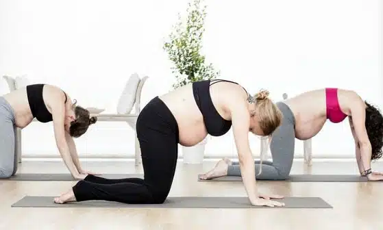 Group of pregnant woman in yoga class performing cat/cow pose