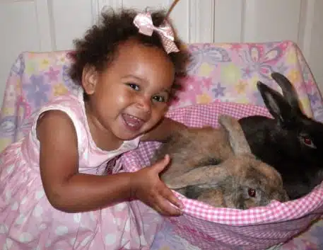 katie bunnies.jpg