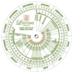 pregnancy wheel