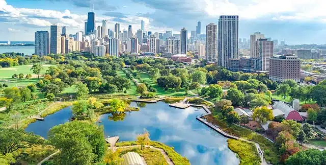 chicago adoption