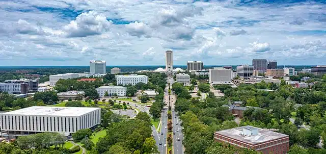 tallahassee640 adoption in Tallahassee