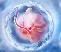fetal development in sac
