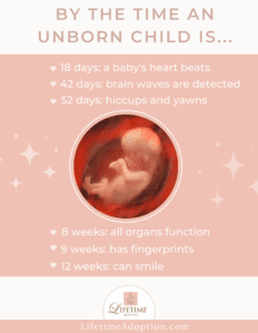 fetal development pdf