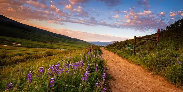 Colorado trail