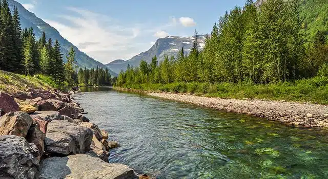 Montana scenery
