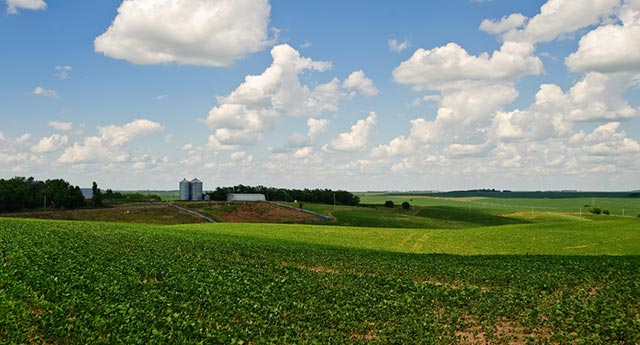 Nebraska field