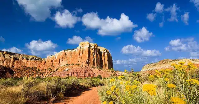 New Mexico landscape