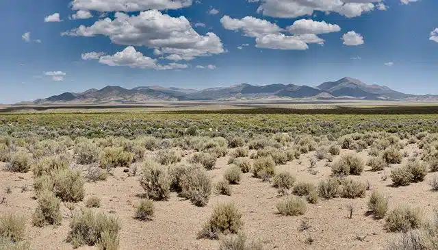Nevada landscape