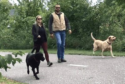 Jess and Ryan on a walk with their dogs