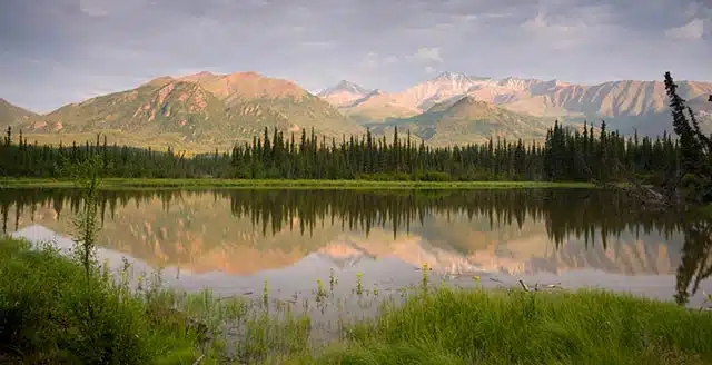 Alaska skyline