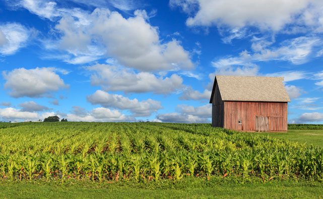 Illinois landscape