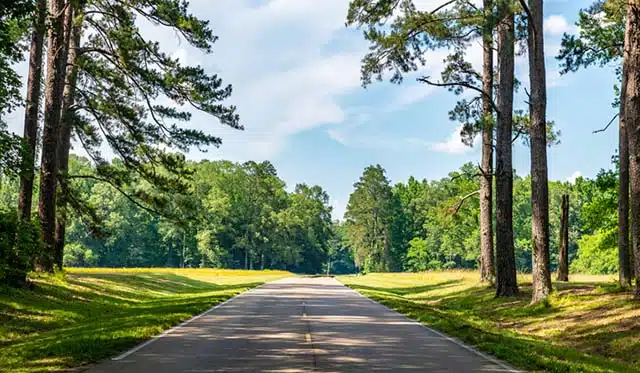 Mississippi landscape