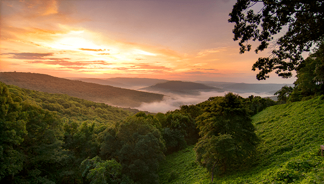 Arkansas landscape