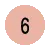 step 6 adoption process