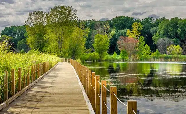 Minnesota lake