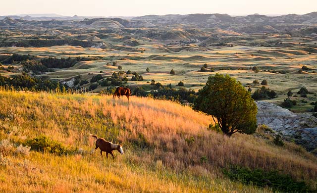 North Dakota landscape