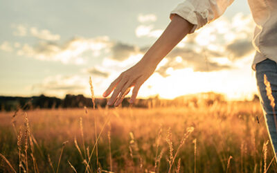 Can You Make an Adoption Plan While in Treatment?