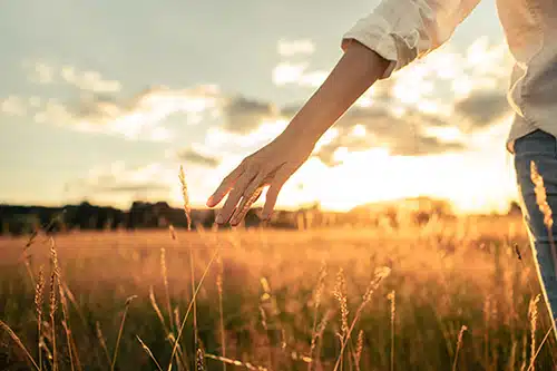 A woman touches the grass while walking in a meadow